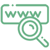 Web Search